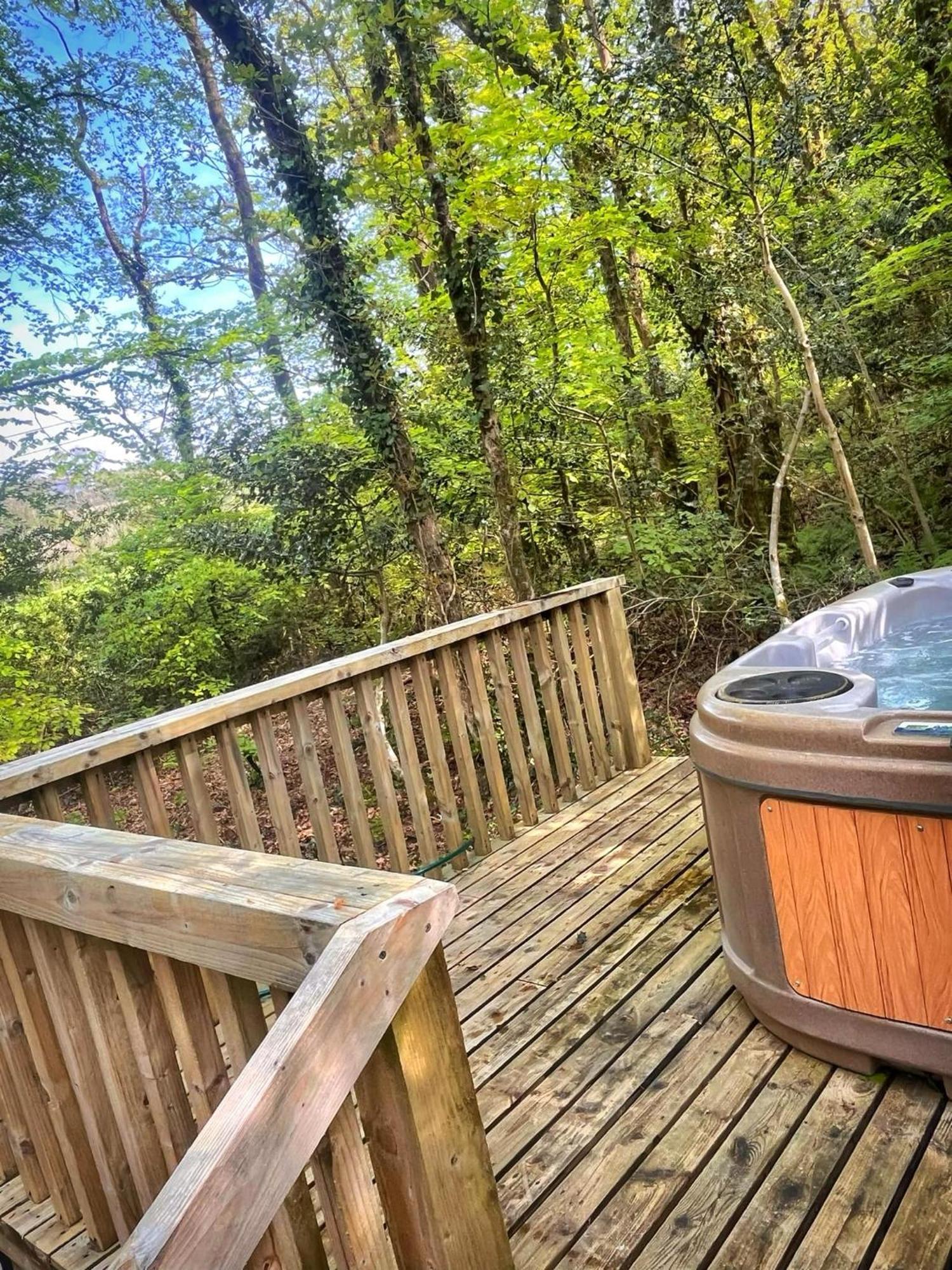 Woodland View -Hot Tub-Tenby-Carmarthen-Сент-Кліарз Екстер'єр фото